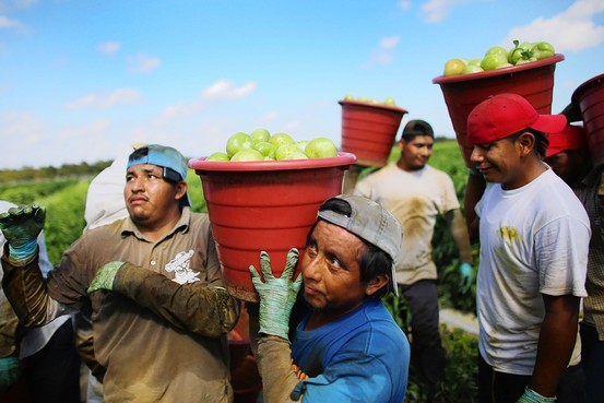 farmworkers_immigrants.jpg 