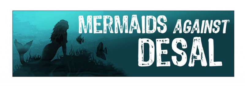 800_mermaidsagainstdesalon.jpg 