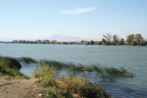 sacramento_river.jpeg