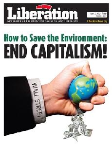 environment.jpg