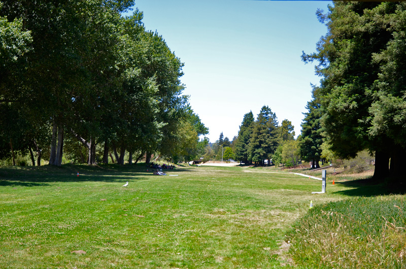 san-lorenzo-park-benchlands-santa-cruz-june-19-2013-8.jpg 