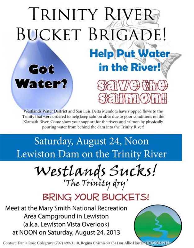 800_trinity_river_bucket_brigade_flyer.jpg 