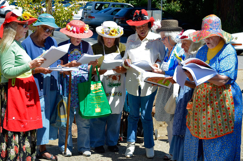 santa-cruz-naacp-march-on-washington-anniversary-august-24-2013-12.jpg 