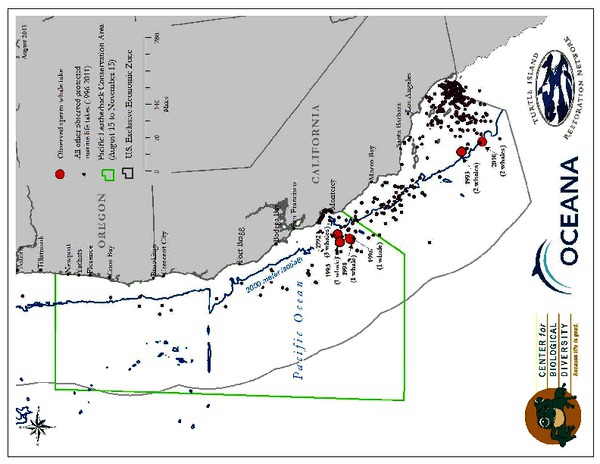 sperm_whale_takes_map.pdf_600_.jpg