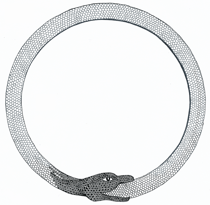 ouroboros_salomon.gif