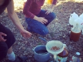 cider-press-party_7_9-28-13.jpg
