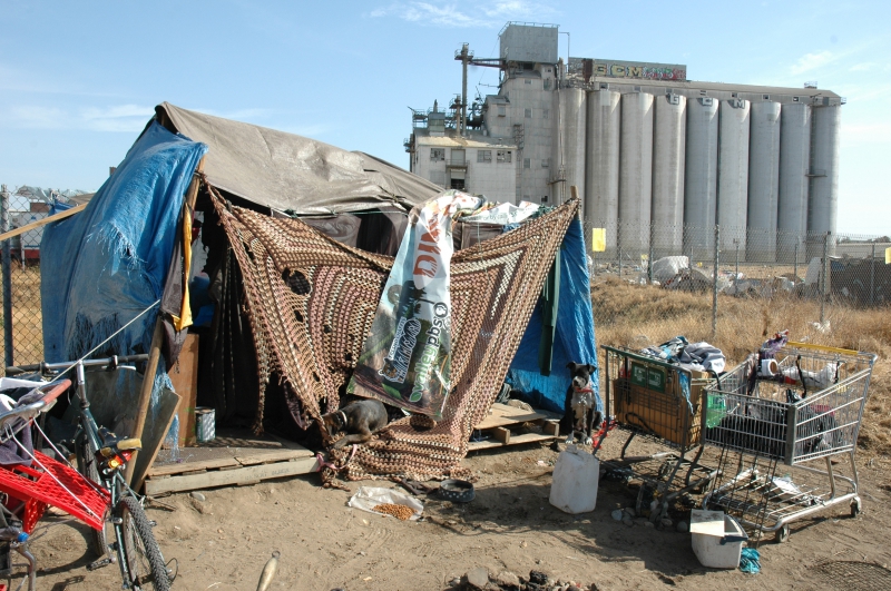 800_shelter_near_the_grain_silo_encampment.jpg 