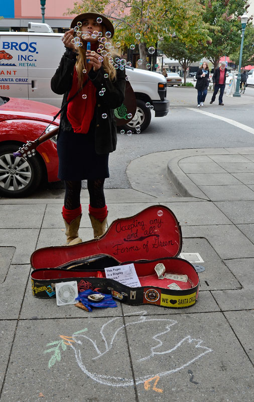 community-blanket-sit-in-santa-cruz-october-24-2013-4.jpg 