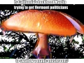 120_magic_mushroom.jpg