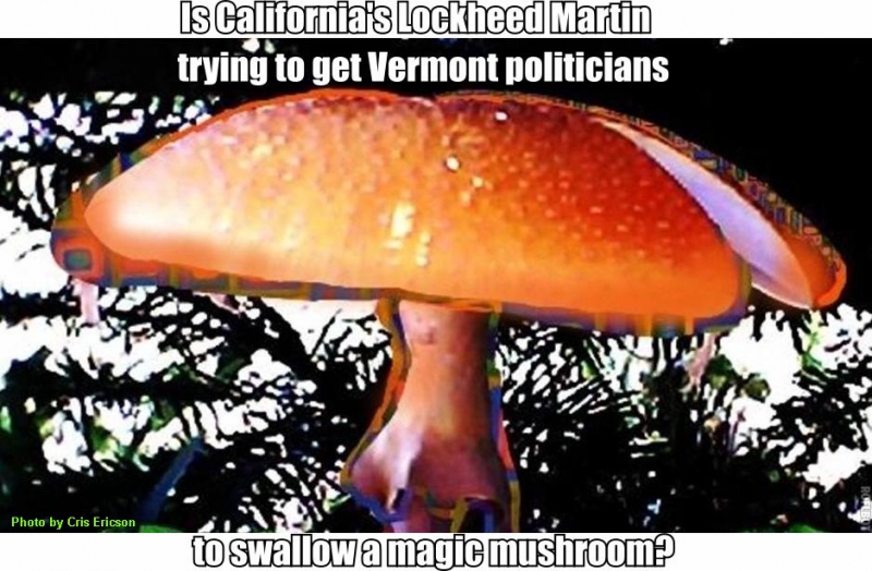 800_magic_mushroom.jpg 