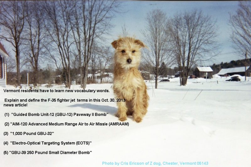 800_new_vermont_vocabulary_words.jpg