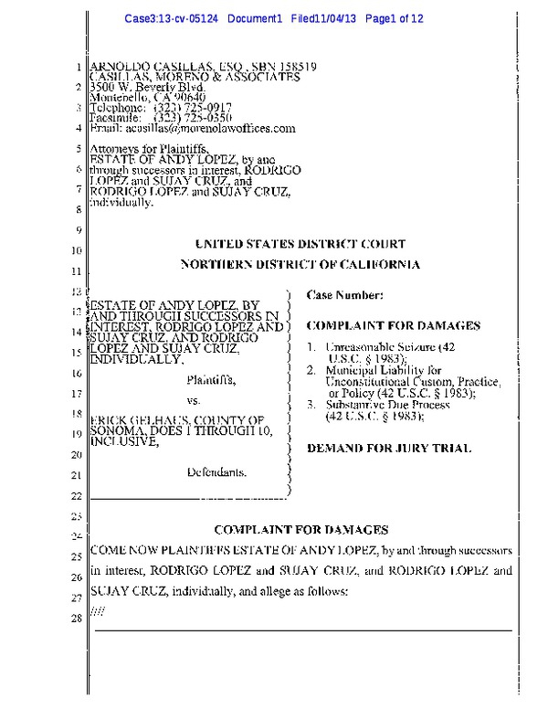 andy-lopez-federal-civil-rights-lawsuit-november-2013.pdf_600_.jpg