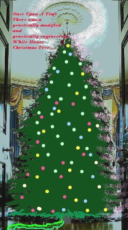 800_genetically_modified_xmas_tree.jpg 