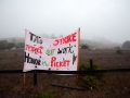 uc-ulp-strike-santa-cruz-ucsc-afscme-november-20-2013-18.jpg