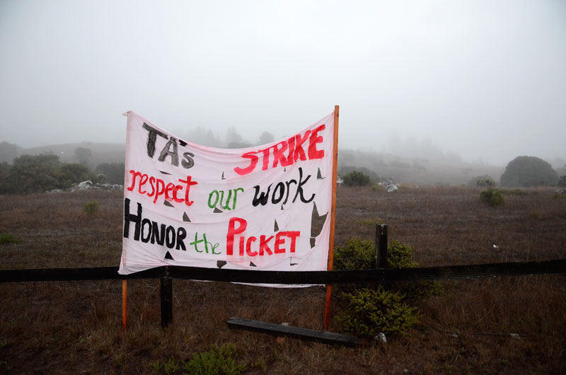 uc-ulp-strike-santa-cruz-ucsc-afscme-november-20-2013-18.jpg 