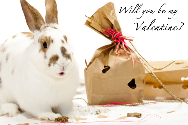 bunnyvalentine.jpg 