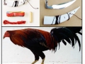 cockfighting-weapons.jpg