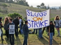 uc-santa-cruz-strike-4-3-2014-12.jpg