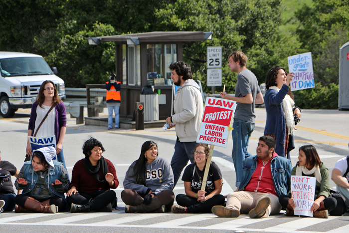 uc-santa-cruz-strike-4-3-2014-21.jpg 