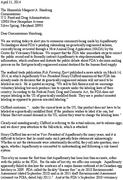 ge_salmon_letter_to_hamburg_about_clifford-1_cfs.pdf_600_.jpg