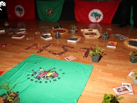movimentosemterra-6thcongress_lapena-20140417_20140417_005.jpg