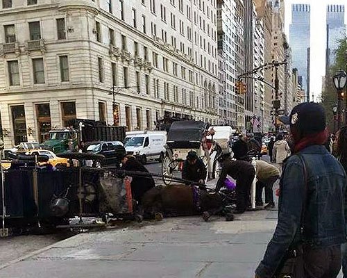 collapsed-carriage-horse.jpg 