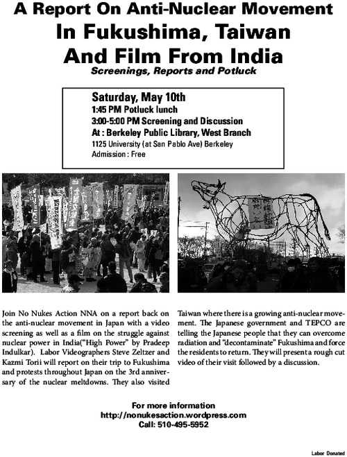 fukushima_report.pdf_600_.jpg