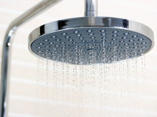 showerhead.jpg 