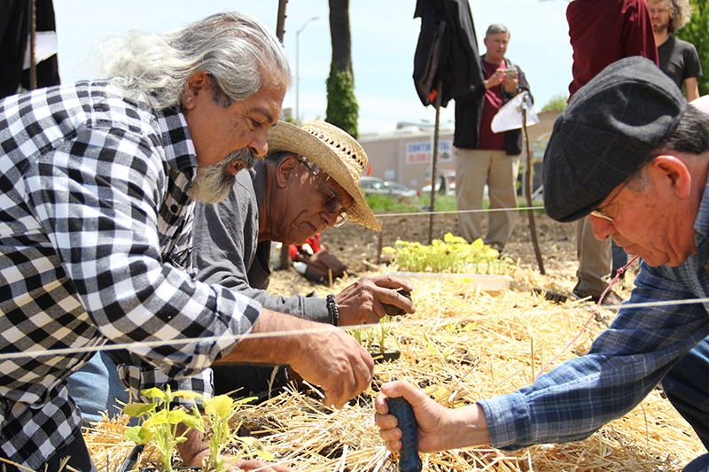 gilltract-communityfarmday_20140426_013.jpg 