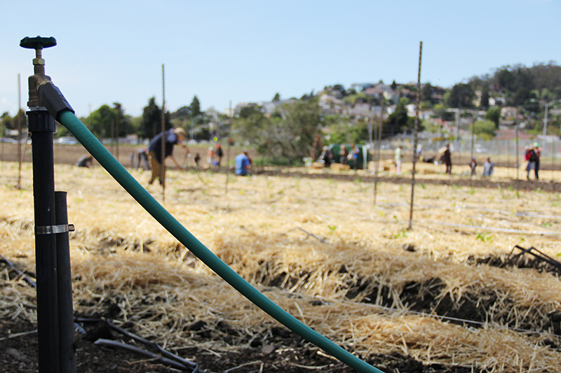 gilltract-communityfarmday_20140426_020.jpg 