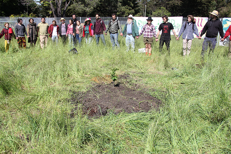 gilltract-communityfarmday_20140426_025.jpg 