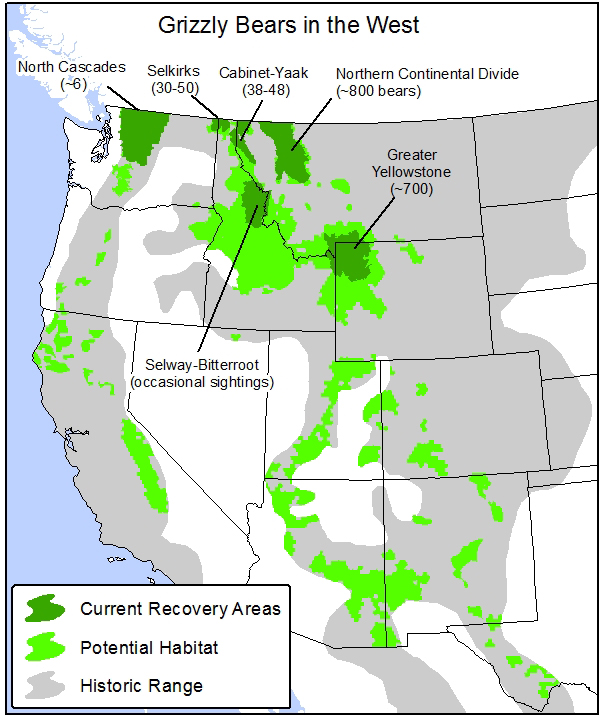 grizzly_habitat_in_the_west.jpg 