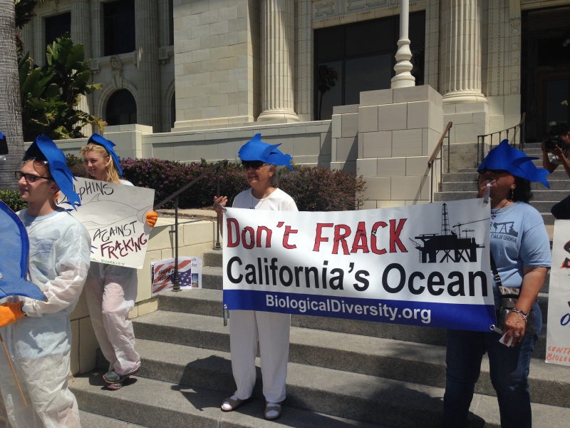 800_offshore_fracking_protest.jpeg 
