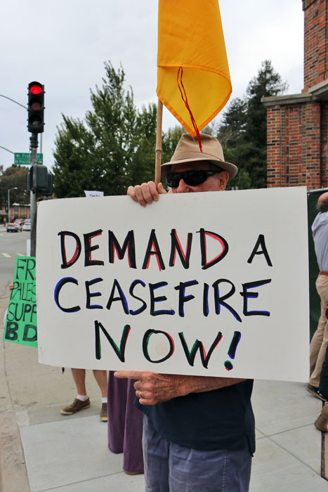 gaza-protest-santa-cruz-july-2014-17.jpg 