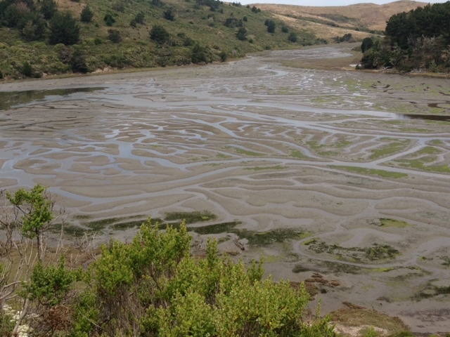 estero_low_tide.jpg 