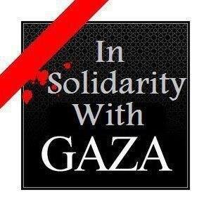 insolidaritywgaza.jpg 