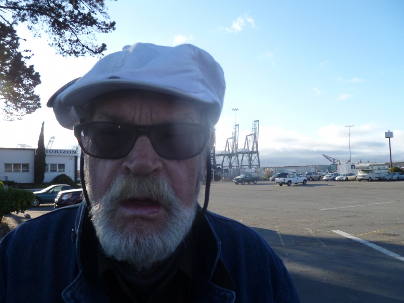 800_ilwu_howard_zim_picket.jpg 