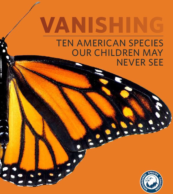 vanishing_species_monarch_butterfly.pdf_600_.jpg