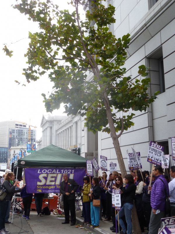 800_seiu1021_sf_court_rally.jpg 