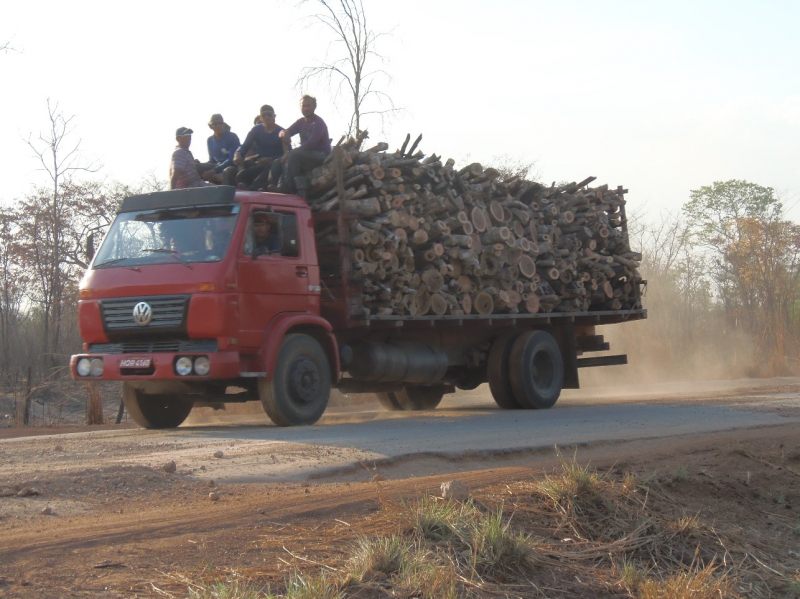 800_wood_stolen_from_indigenous_land_on_its_way_to_brick_factories__graja___-_maranh__o.jpg 