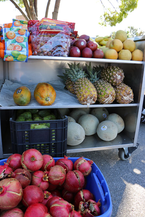 community-action-tianguis-mayfair-san-jose-6.jpg 