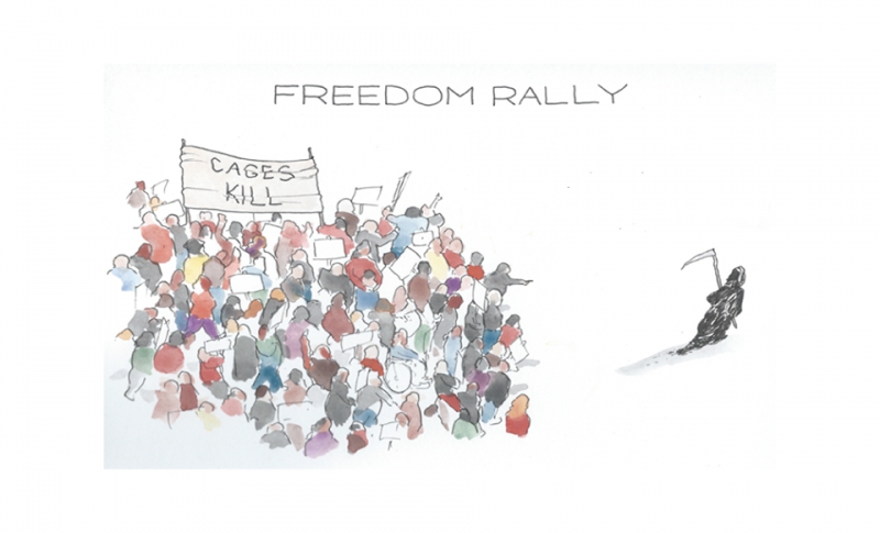 800_cages-kill-freedom-rally.jpg