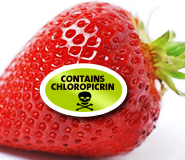 strawberry-contains-chloropicrin.jpg 