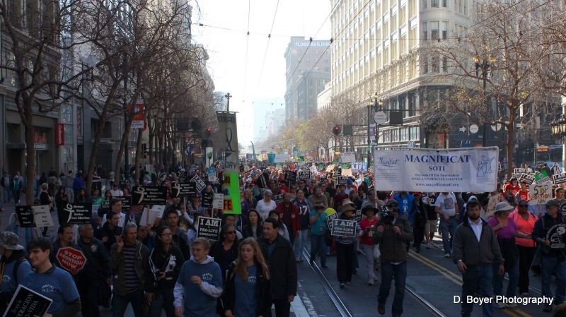 800_prochoiceprolifedemo_sf_2015__8_.jpg 