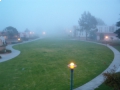 csumb_fog.jpg