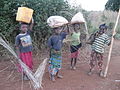 child_labor_in_africa.jpg 