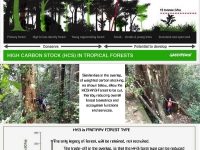 200_highconservationvalueforesttype_hcs.jpg