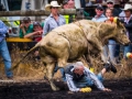 in-the-dirt-reefton-rodeo-bull-riding.jpg