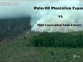 120_plantation_vs_hcv_forest.jpg