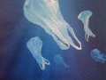 jellyfish_bag.jpg